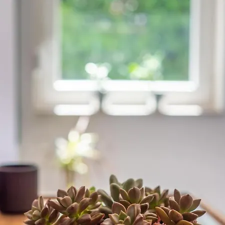 Sunny Side Lägenhet