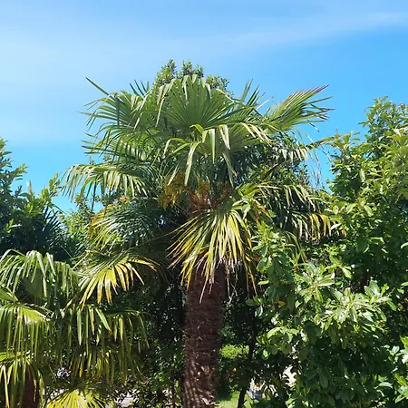 Apartamento Sunny Side