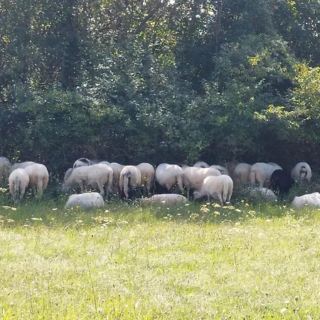 Sunny Side Apartamento