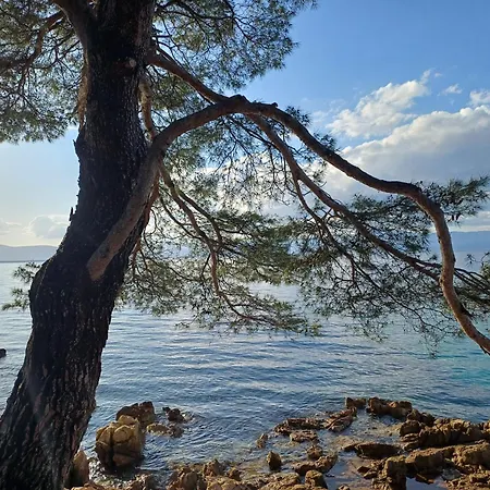 Sunny Side Διαμέρισμα Malinska