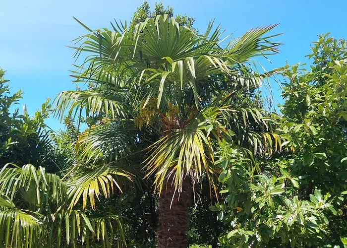 아파트 Sunny Side